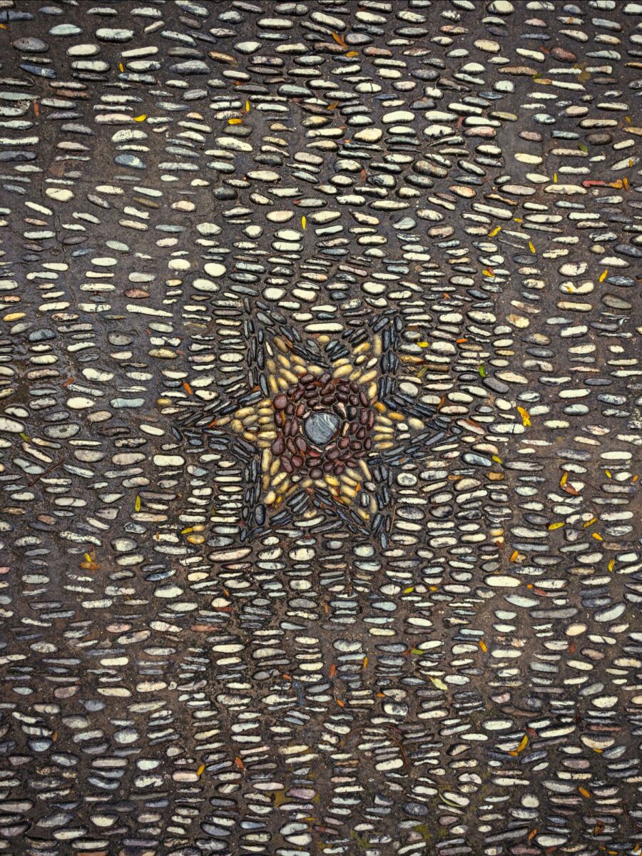 Ο Βασίλης Μακρής φωτογραφίζει τον Εθνικό Κήπο χωρίς ανθρώπους, αναδεικνύοντας τη συνύπαρξη φύσης, ιστορίας και μνήμης.