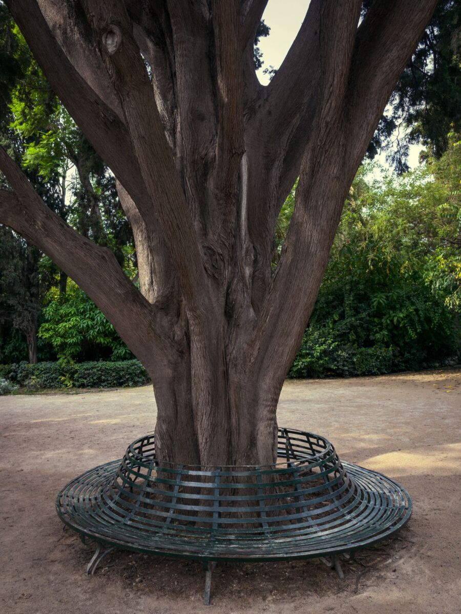 Ο Βασίλης Μακρής φωτογραφίζει τον Εθνικό Κήπο χωρίς ανθρώπους, αναδεικνύοντας τη συνύπαρξη φύσης, ιστορίας και μνήμης.