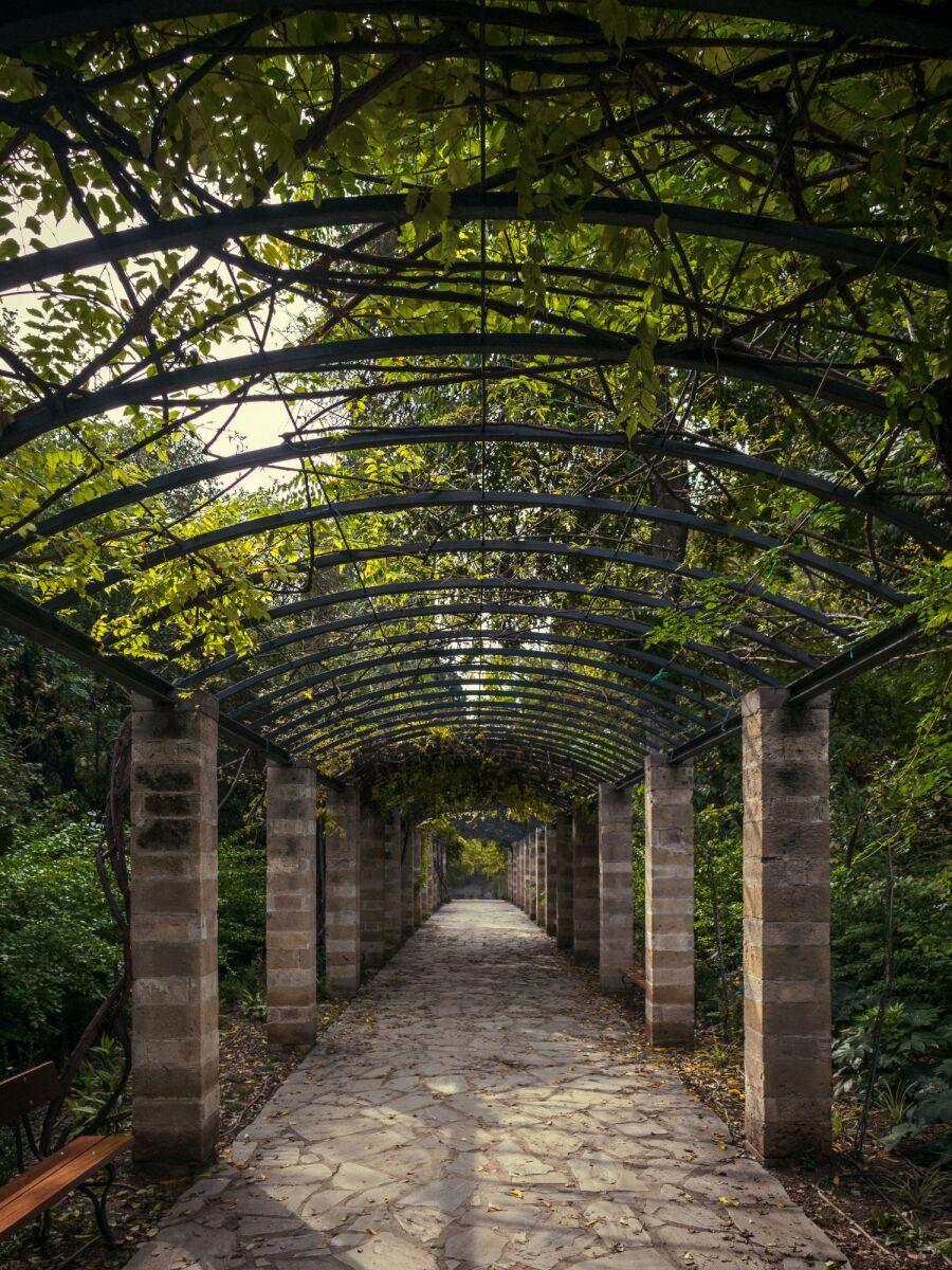 Ο Βασίλης Μακρής φωτογραφίζει τον Εθνικό Κήπο χωρίς ανθρώπους, αναδεικνύοντας τη συνύπαρξη φύσης, ιστορίας και μνήμης.