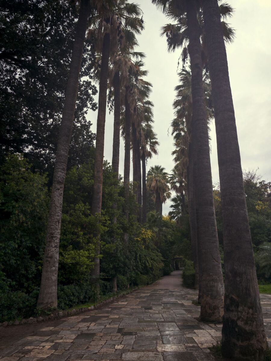 Ο Βασίλης Μακρής φωτογραφίζει τον Εθνικό Κήπο χωρίς ανθρώπους, αναδεικνύοντας τη συνύπαρξη φύσης, ιστορίας και μνήμης.