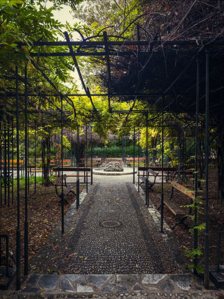 Ο Βασίλης Μακρής φωτογραφίζει τον Εθνικό Κήπο χωρίς ανθρώπους, αναδεικνύοντας τη συνύπαρξη φύσης, ιστορίας και μνήμης.