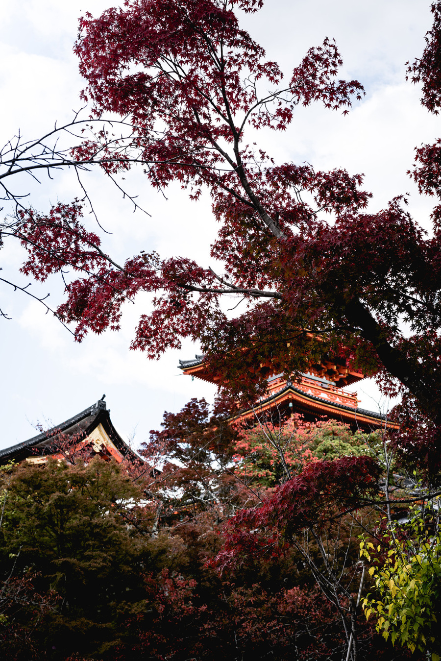kyoto._kiyomizu-dera_temple.jpg