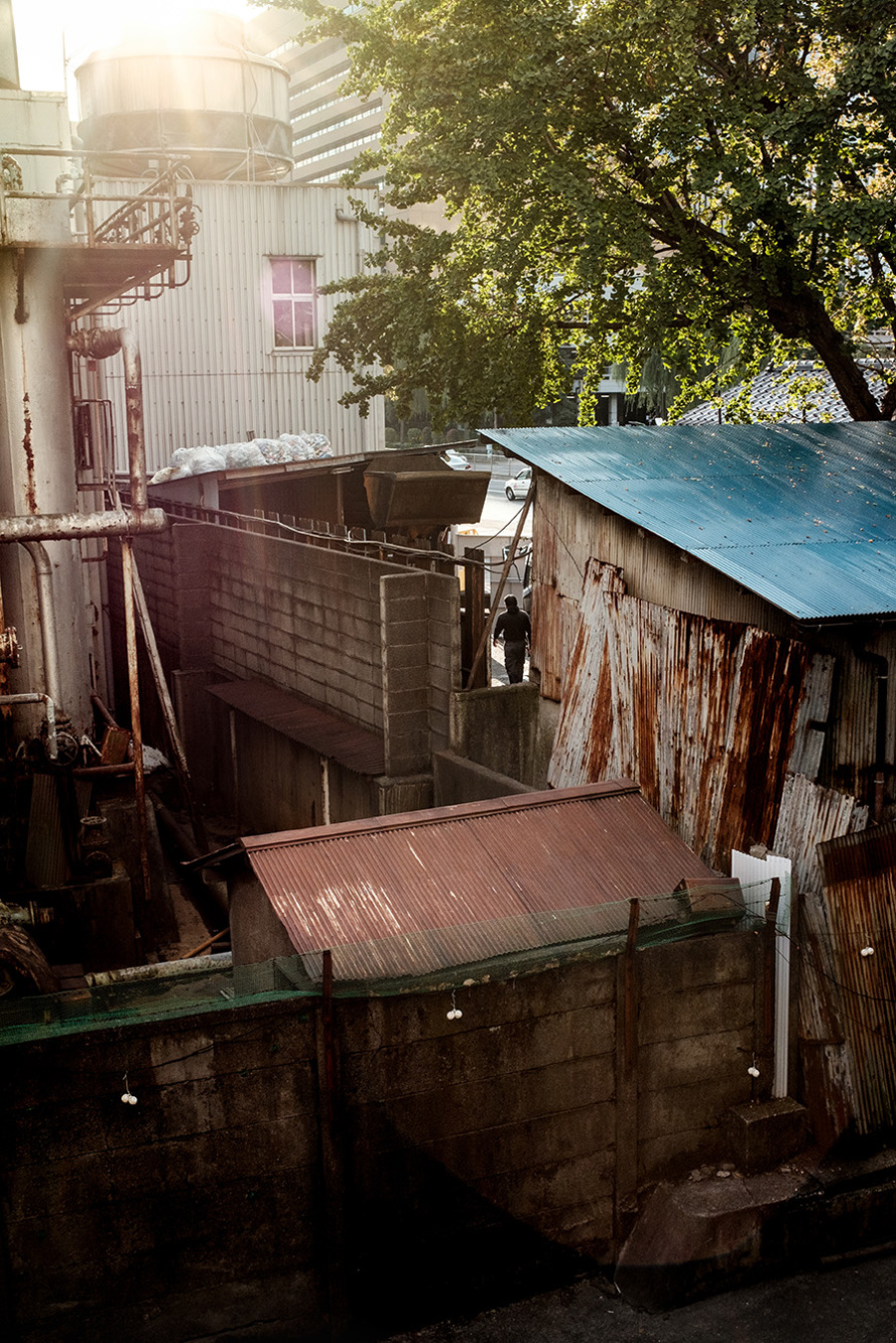 tokyo._back_yards.jpg
