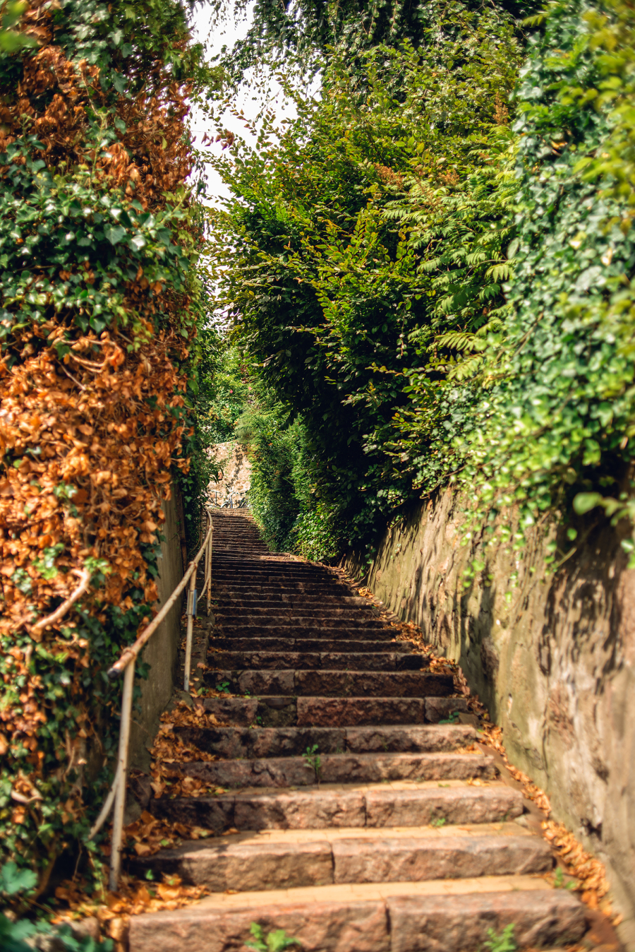 Κορωνοϊός στο Αμβούργο