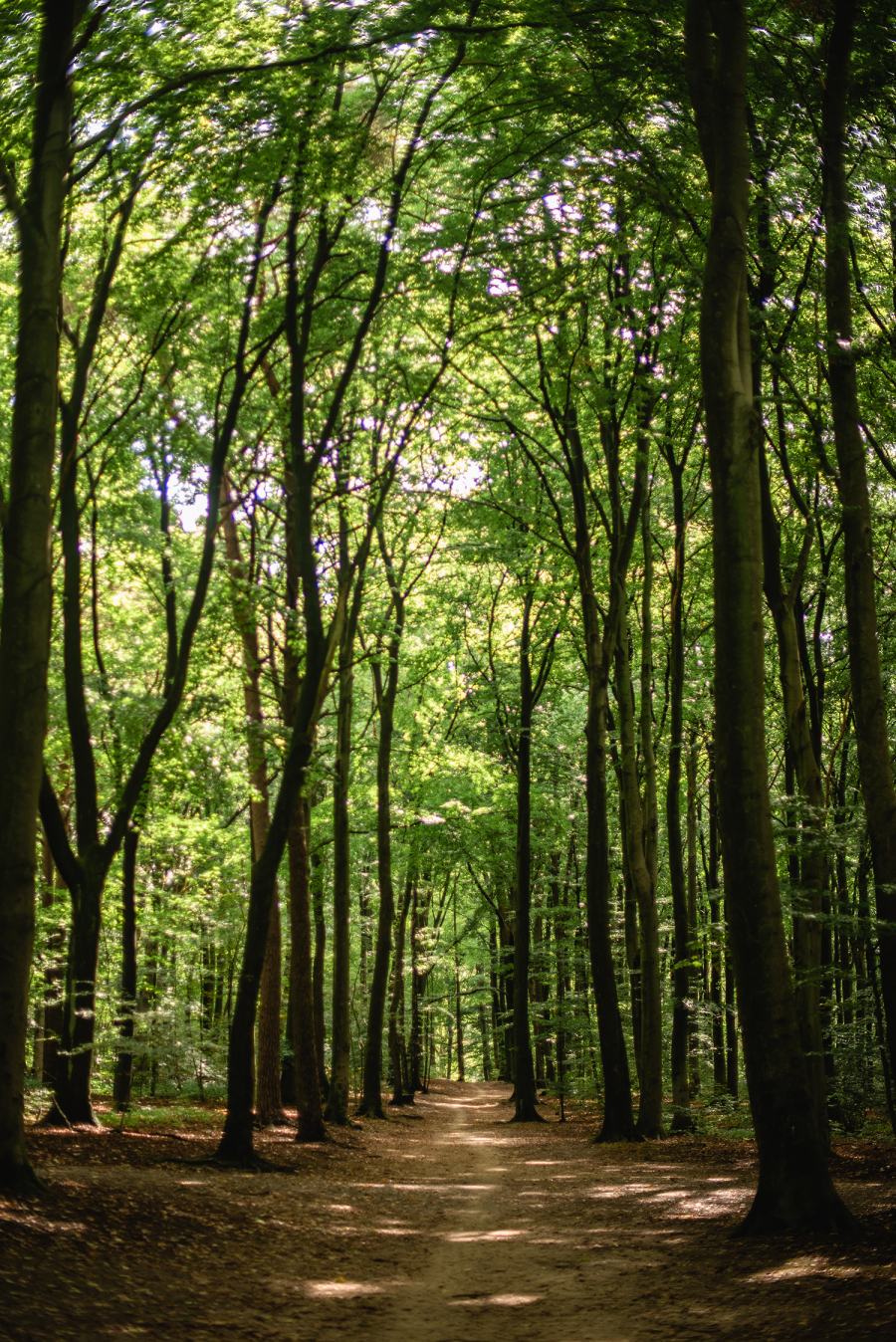 Κορωνοϊός στο Αμβούργο