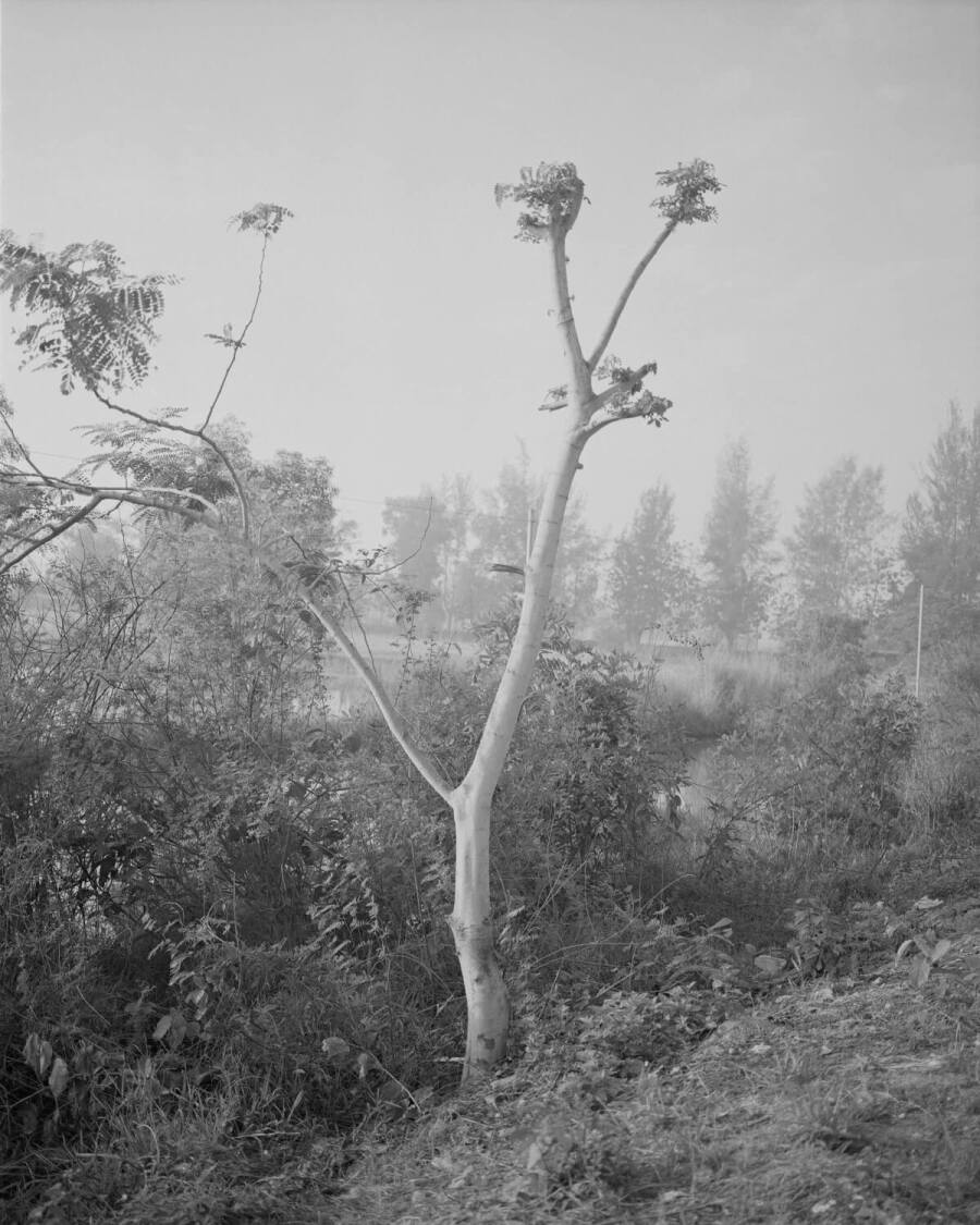 Μιανμάρ, Katrin Koenning