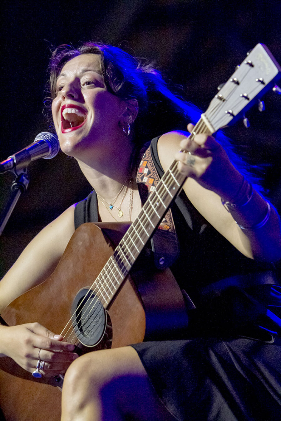 Στιγμιότυπο από τη συναυλία των Νίκου Πορτοκάλογλου, Στάθη Δρογώση, Αγάπη Διαγγελάκη, Βύρωνα Τσουράπη