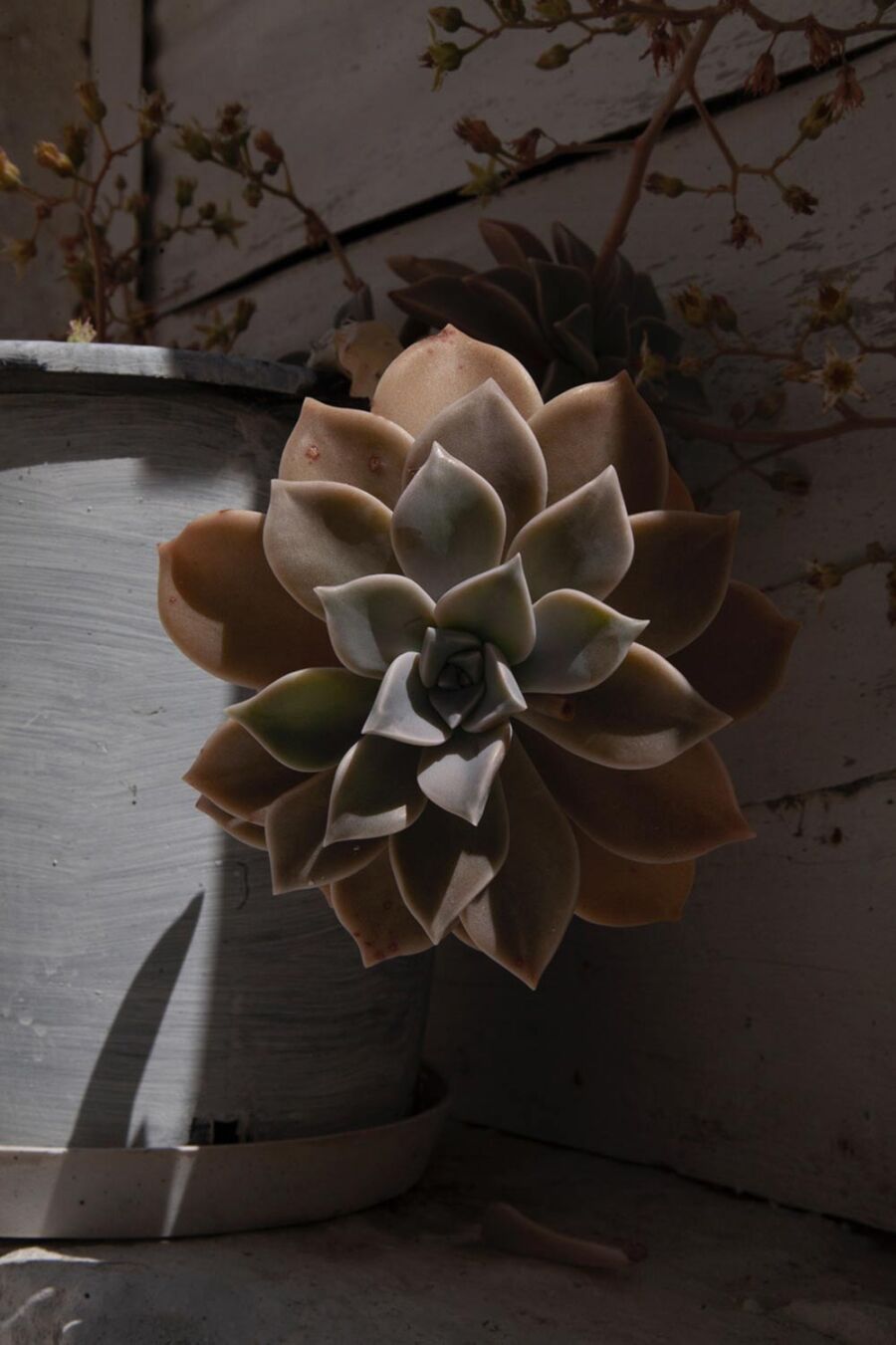 Στο Ξωτικό wine&deli στον Τριαντάρο παρουσιάζεται η έκθεση φωτογραφίας «Tinos, Shaped by the Wind»