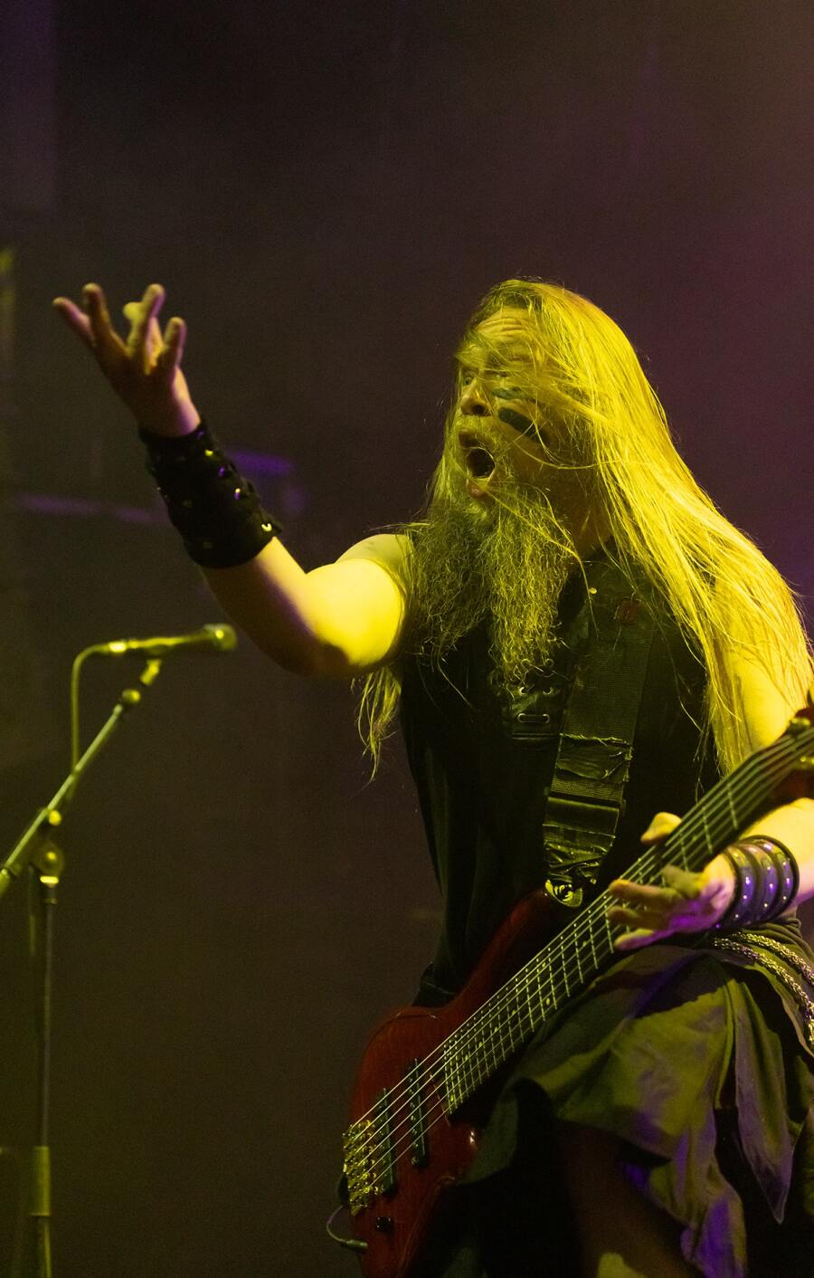 Στιγμιότυπο από τη συναυλία των Ensiferum στην Αθήνα