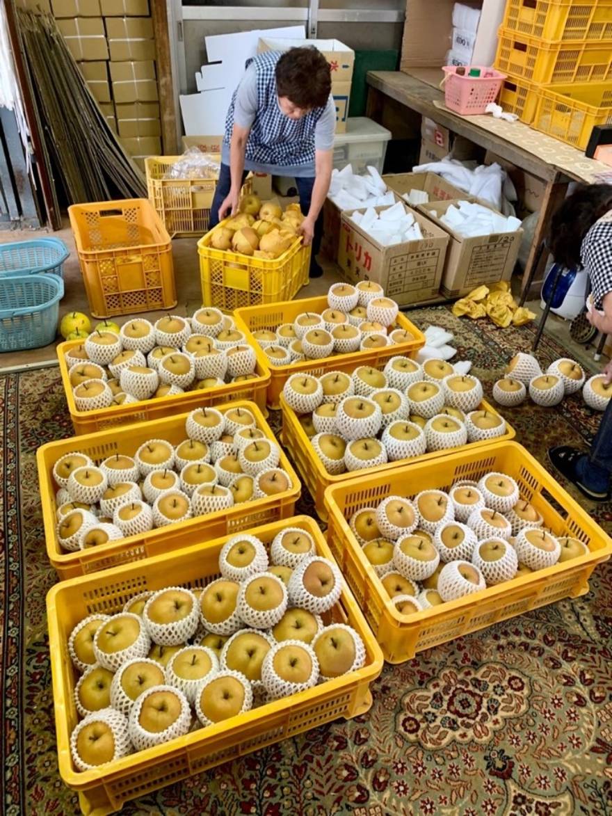 Αχλάδια της ποικιλίας Niikata σε λαϊκές αγορές στο Inagi, Τόκιο