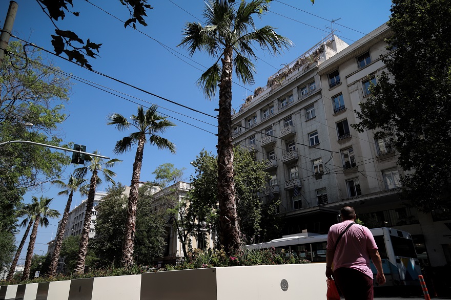 Η Πανεπιστημίου έχει πλέον φοίνικες - Ο «Μεγάλος Περίπατος της Αθήνας» δεν σταματά να φέρνει ευχάριστες αλλαγές στο κέντρο της πόλης