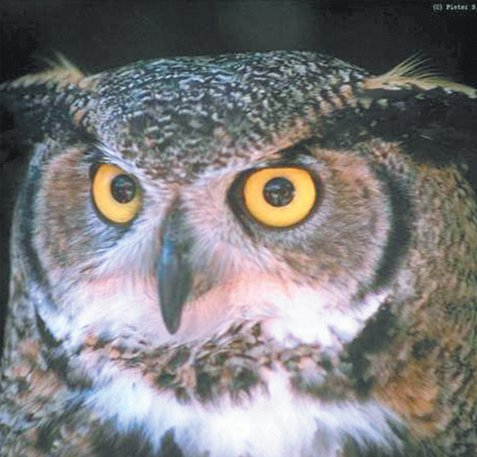 Xαμογέλα ρε, τι σου ζητάνε...