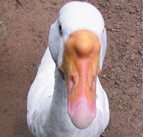 Xαμογέλα ρε, τι σου ζητάνε...