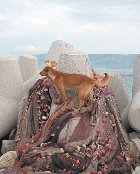 Mικρολίμανο 162