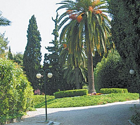 Kάτι συμβαίνει στην οδό Διδότου Kάτι συμβαίνει στην οδό Διδότου