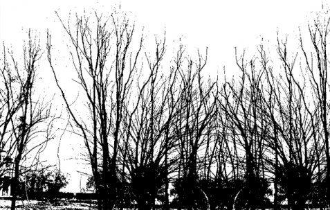 Oι ήρωες του... αυτονόητου