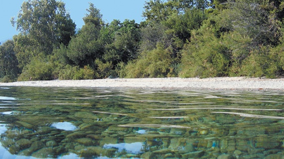 Ροβιές, Βόρεια Εύβοια Ροβιές, Βόρεια Εύβοια