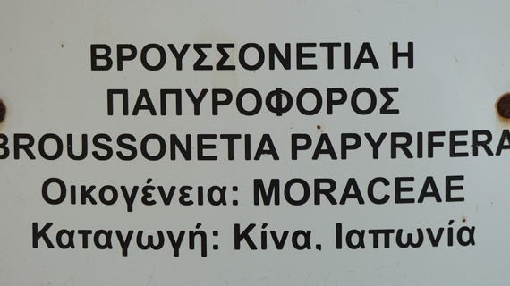 ΚAΛΛΙΜΑΡΜΑΡΟ-ΧΑΡΙΛΑΟΥ ΤΡΙΚΟΥΠΗ