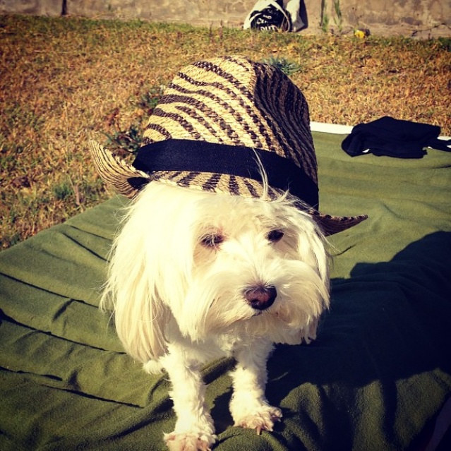 @mikaelamicheli’s photo @mikaelamicheli’s photo