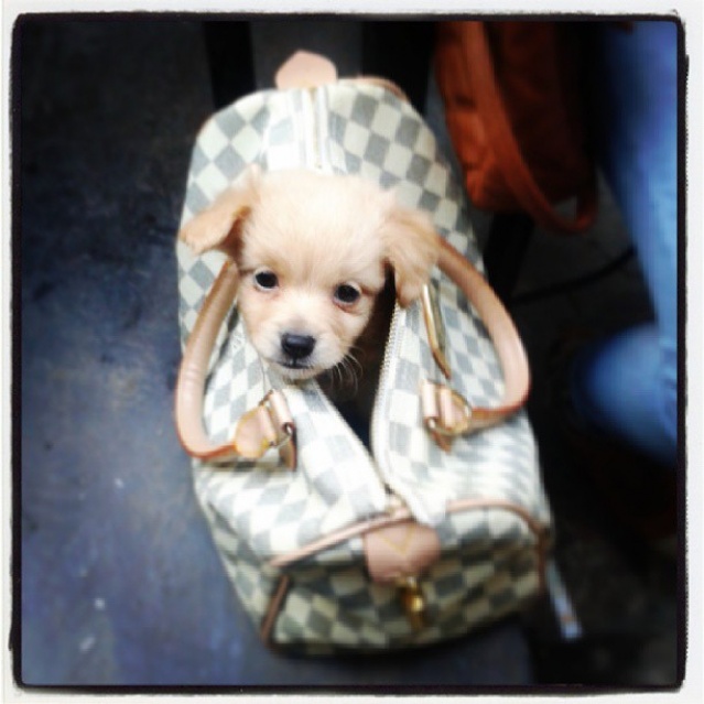 @apostolis_kretsis n