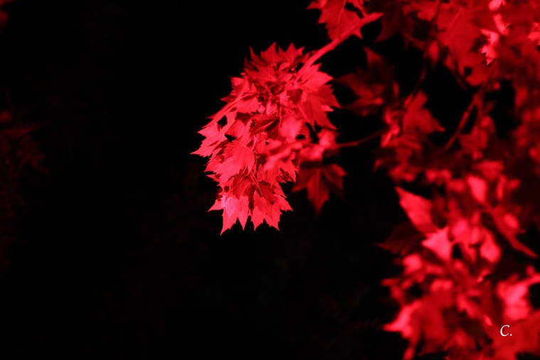 Χρήστος Διαμάντης