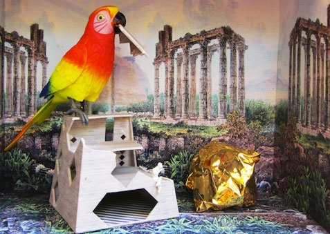 n n