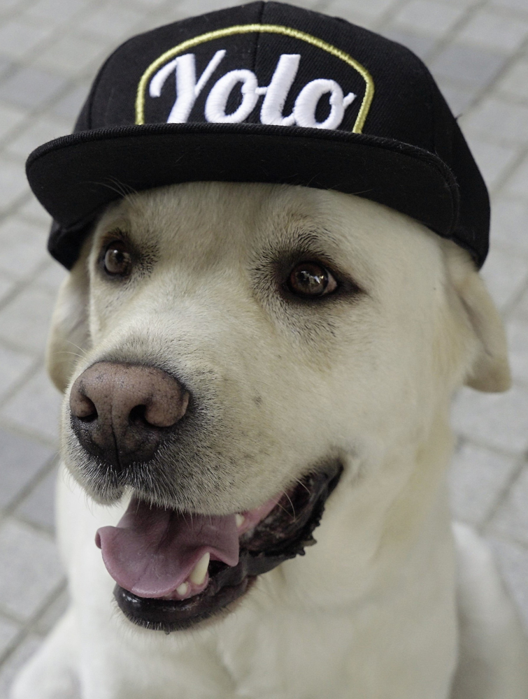 Share Because You Care