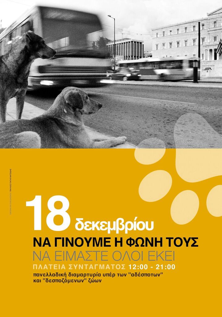 Πανελλαδική διαμαρτυρία για να βάλουμε τέλος στην κακοποίηση των ζώων