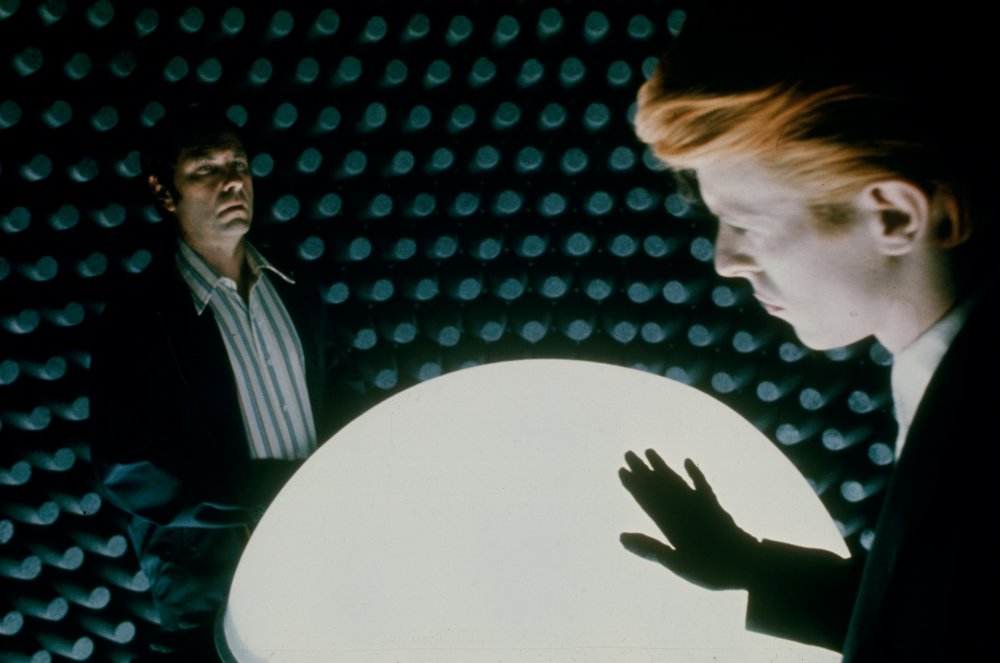 The Man Who Fell to Earth 
