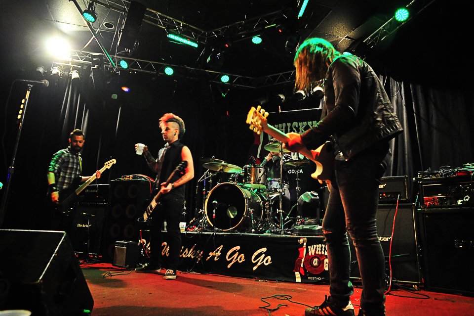 © www.salsphotos.net © www.salsphotos.net