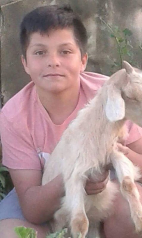 image image