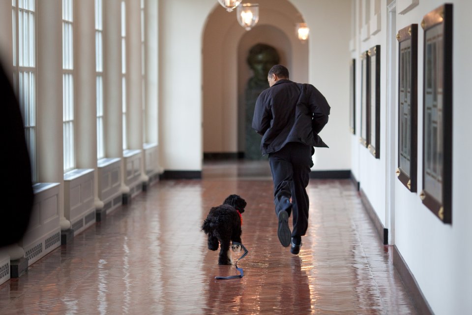 © Official White House Photo by Pete Souza © Official White House Photo by Pete Souza