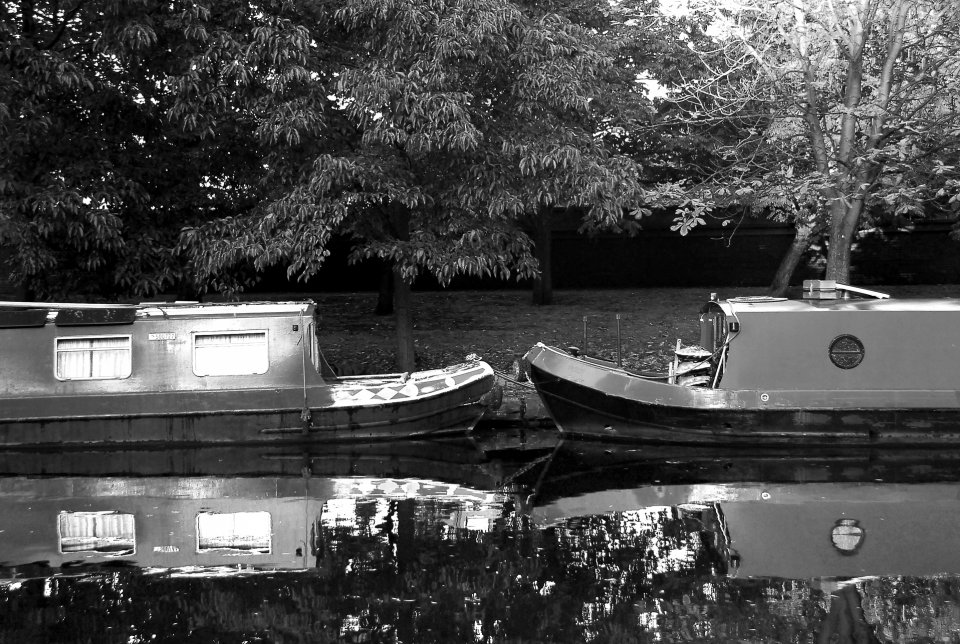 © Δημήτρης Μουγκός 