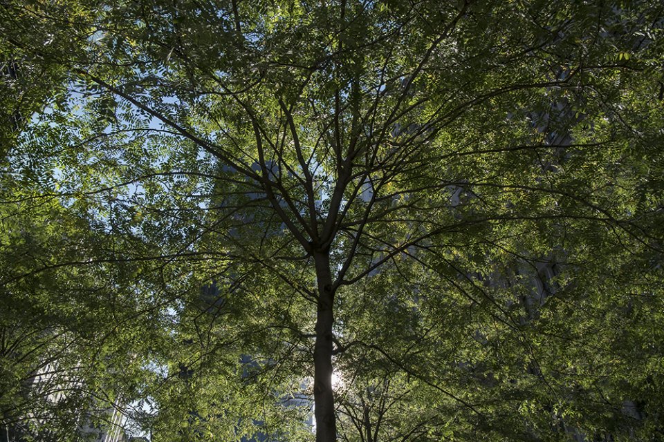 © Oliver Kurtis © Oliver Kurtis