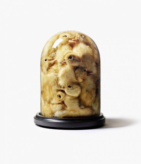 © Nancy Fouts © Nancy Fouts