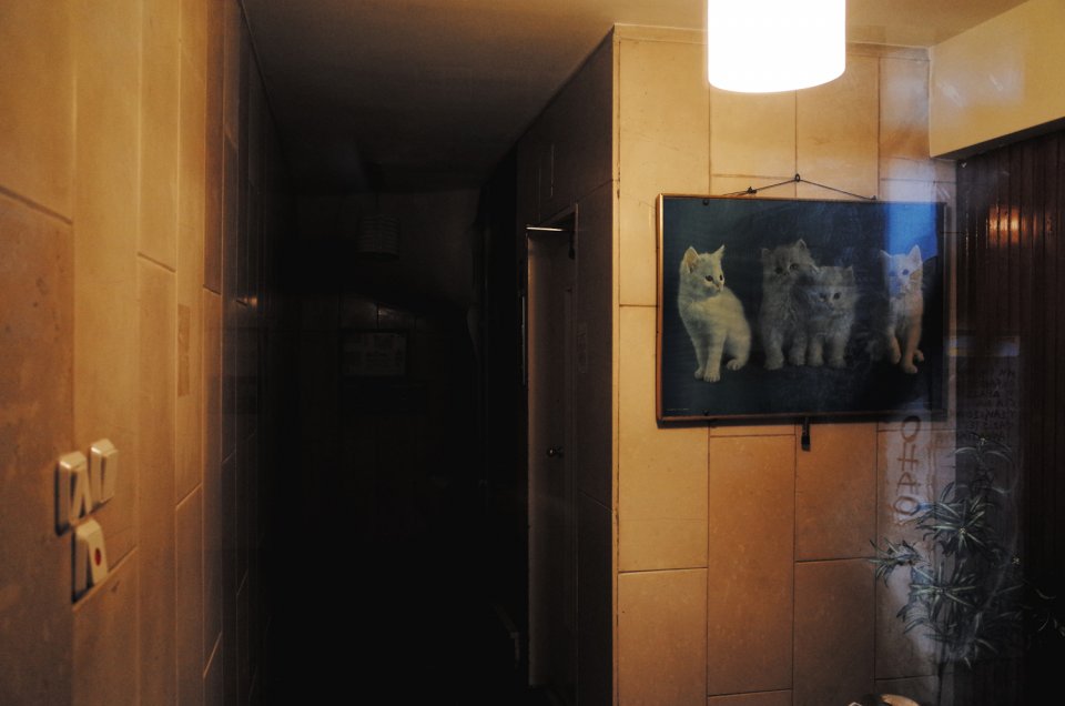 © Δημήτρης Κλεάνθης / dimitriskleanthis.com © Δημήτρης Κλεάνθης / dimitriskleanthis.com