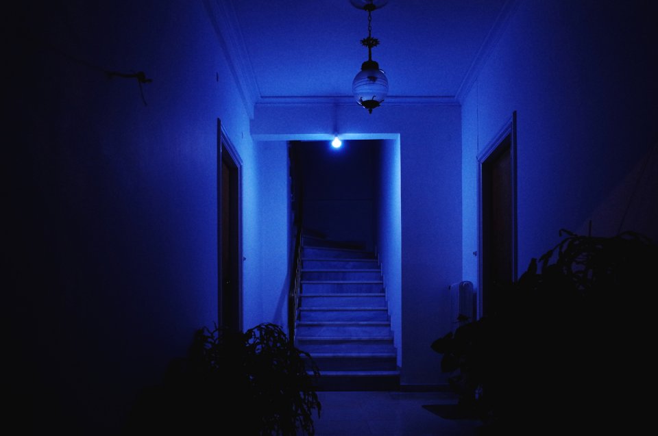 © Δημήτρης Κλεάνθης / dimitriskleanthis.com © Δημήτρης Κλεάνθης / dimitriskleanthis.com