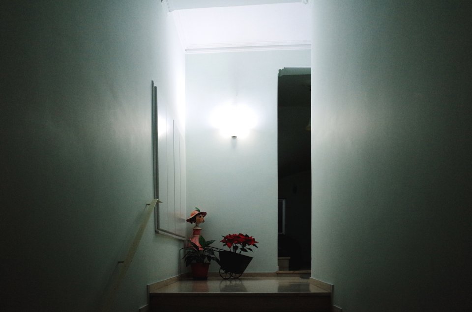 © Δημήτρης Κλεάνθης / dimitriskleanthis.com © Δημήτρης Κλεάνθης / dimitriskleanthis.com