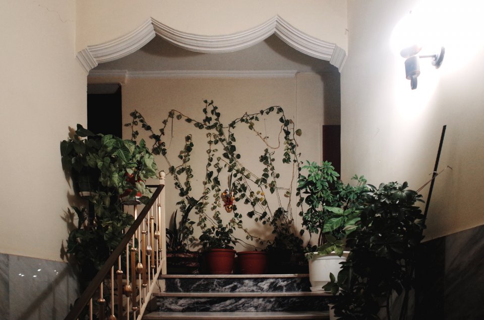 © Δημήτρης Κλεάνθης / dimitriskleanthis.com © Δημήτρης Κλεάνθης / dimitriskleanthis.com