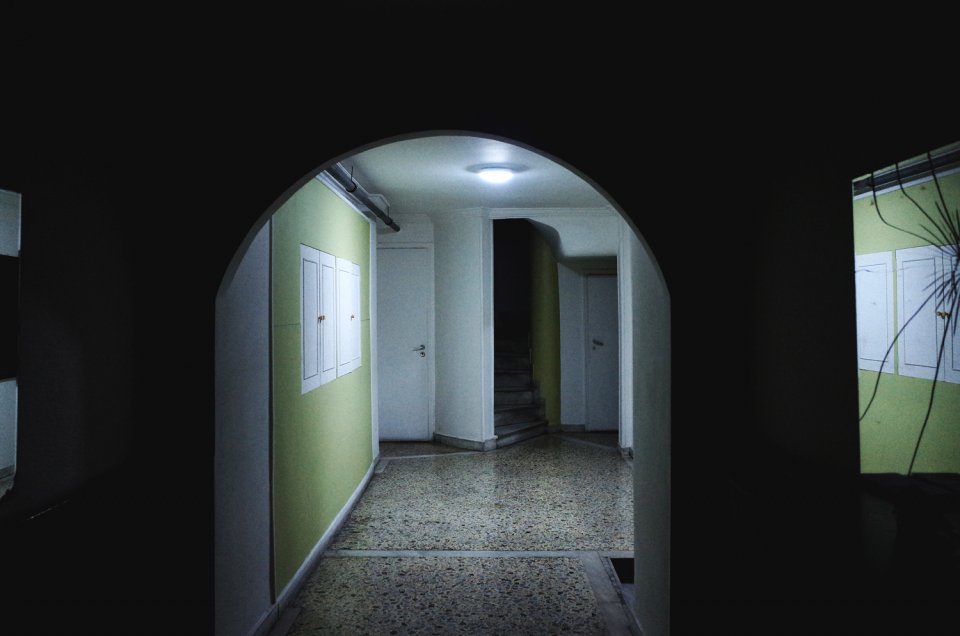 © Δημήτρης Κλεάνθης / dimitriskleanthis.com © Δημήτρης Κλεάνθης / dimitriskleanthis.com