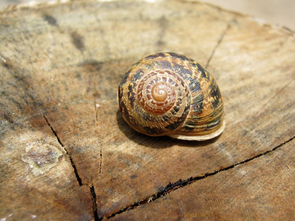 © Aarón Ramos / The Blind Photographer 