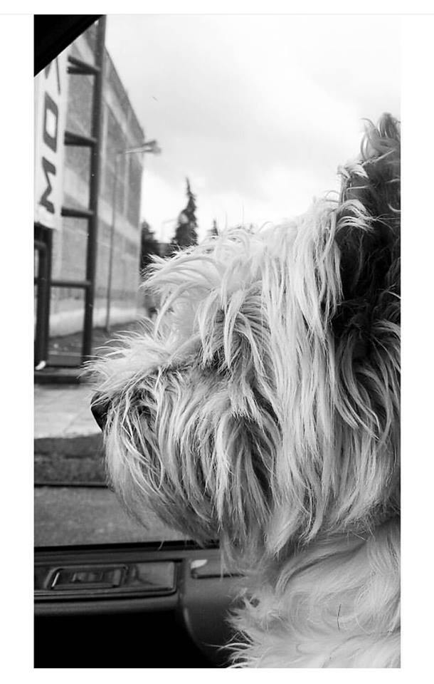 © Ναταλία Δέδε © Ναταλία Δέδε