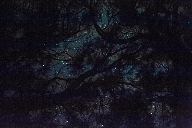 Καρατζάς Θανάσης