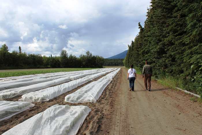 Η Φάρμα του Ρέμπελ
