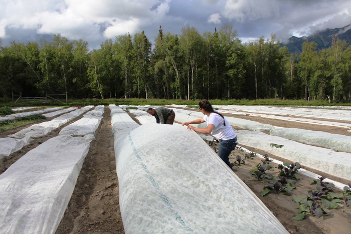 Η Φάρμα του Ρέμπελ