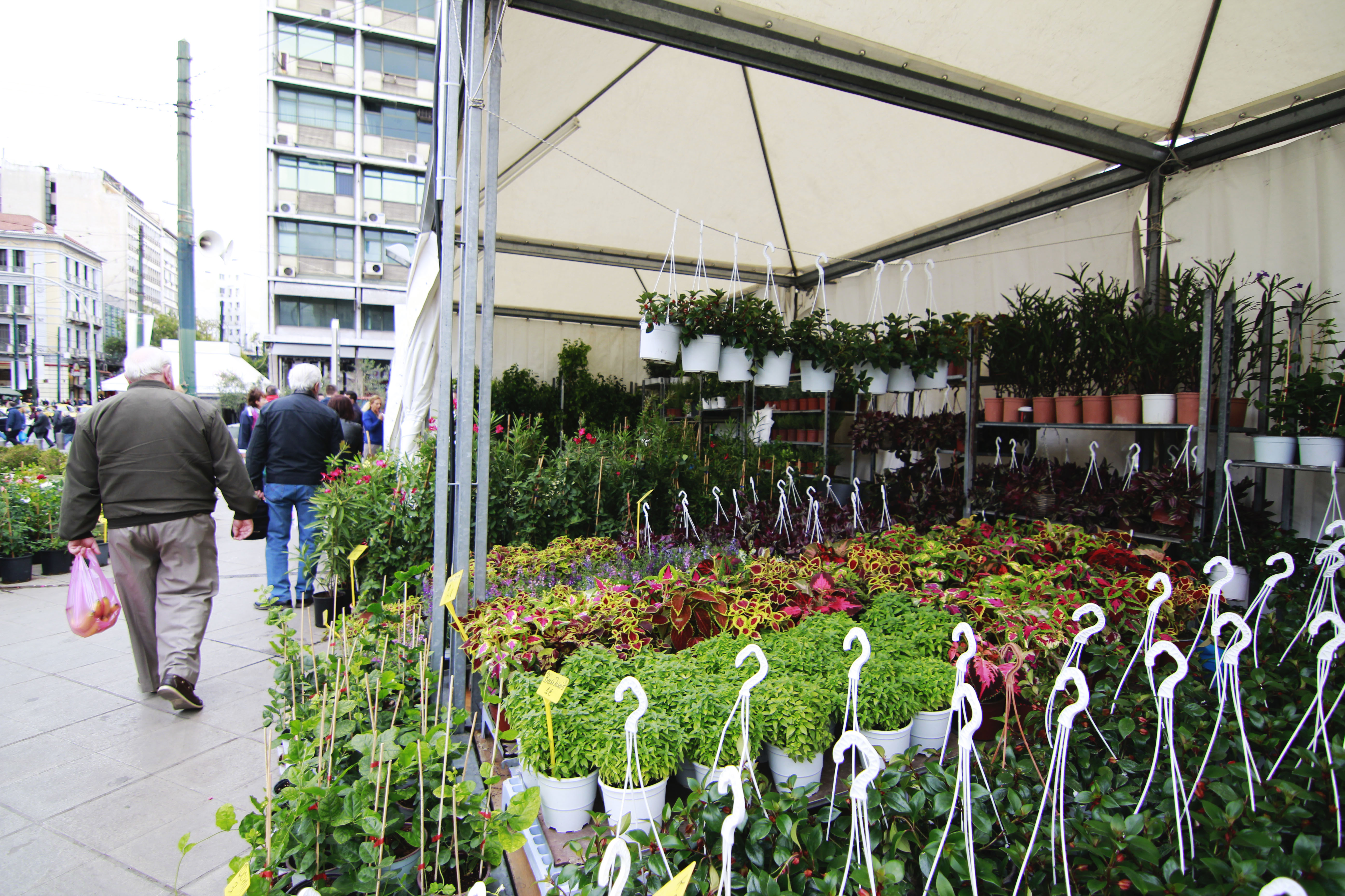 Κάνε το μπαλκόνι σου (και την Αθήνα) πιο όμορφο