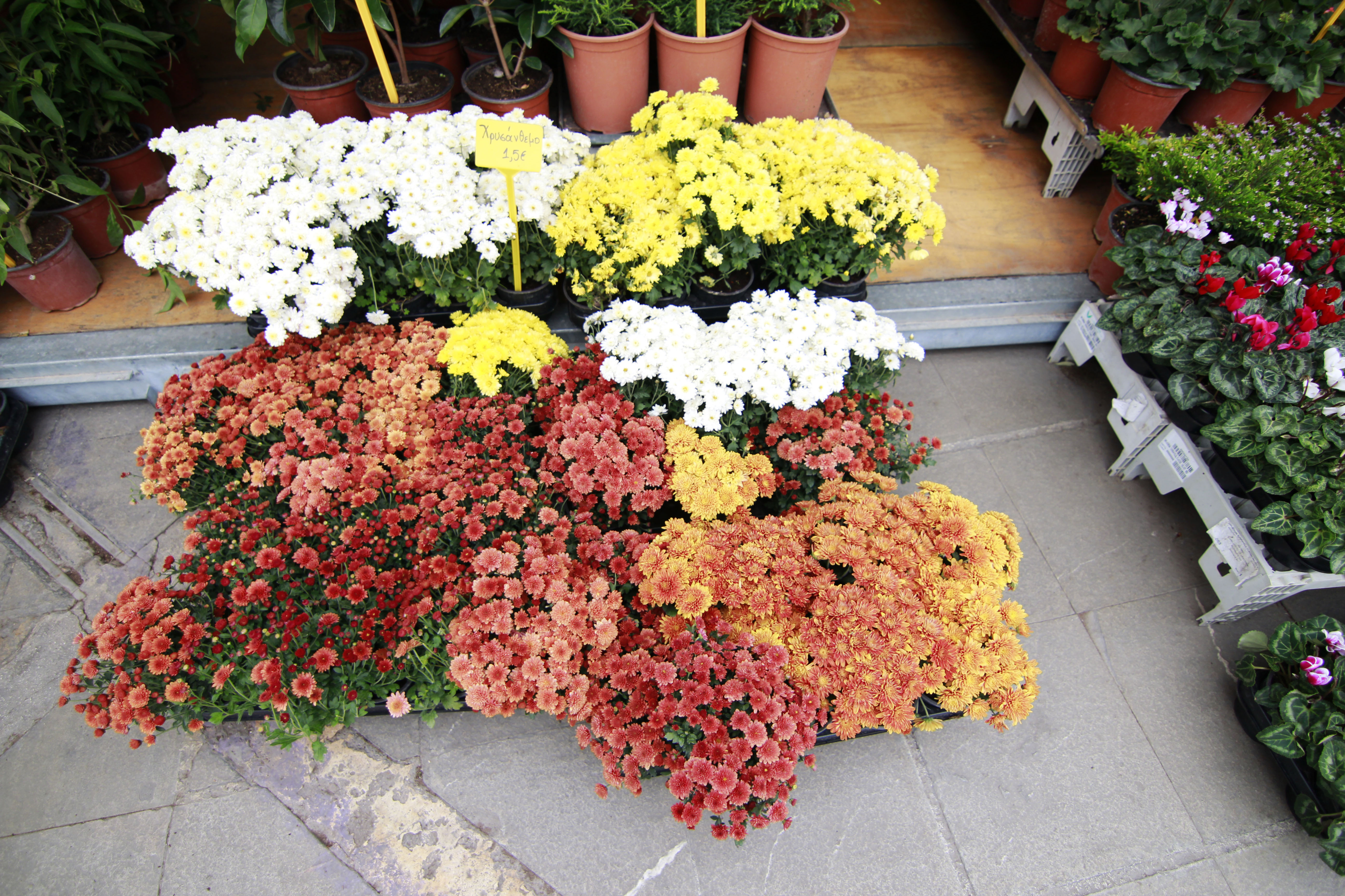 Κάνε το μπαλκόνι σου (και την Αθήνα) πιο όμορφο