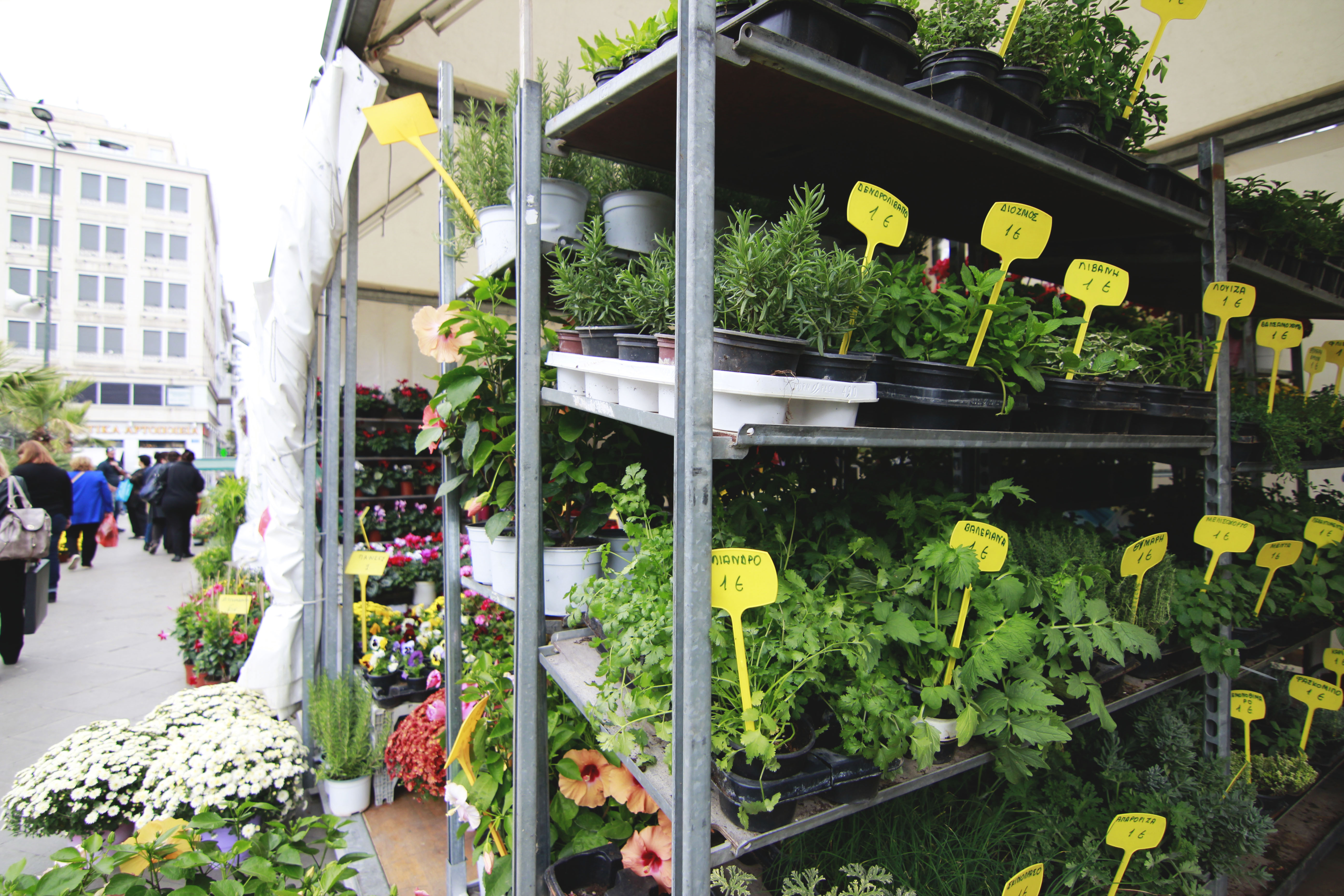 Κάνε το μπαλκόνι σου (και την Αθήνα) πιο όμορφο