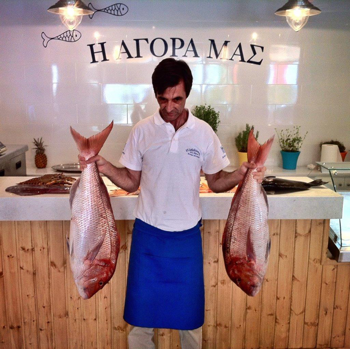 Ε/Τ. Ταξιδεύοντας στα βόρεια Ε/Τ. Ταξιδεύοντας στα βόρεια