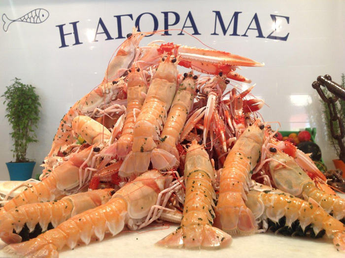 Ε/Τ. Ταξιδεύοντας στα βόρεια Ε/Τ. Ταξιδεύοντας στα βόρεια